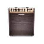 Fishman Guitar Amp Performer