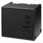 AER Guitar Amp Domino 2