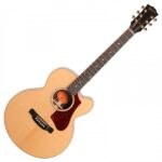 Gibson Acoustic Guitar 665 SB